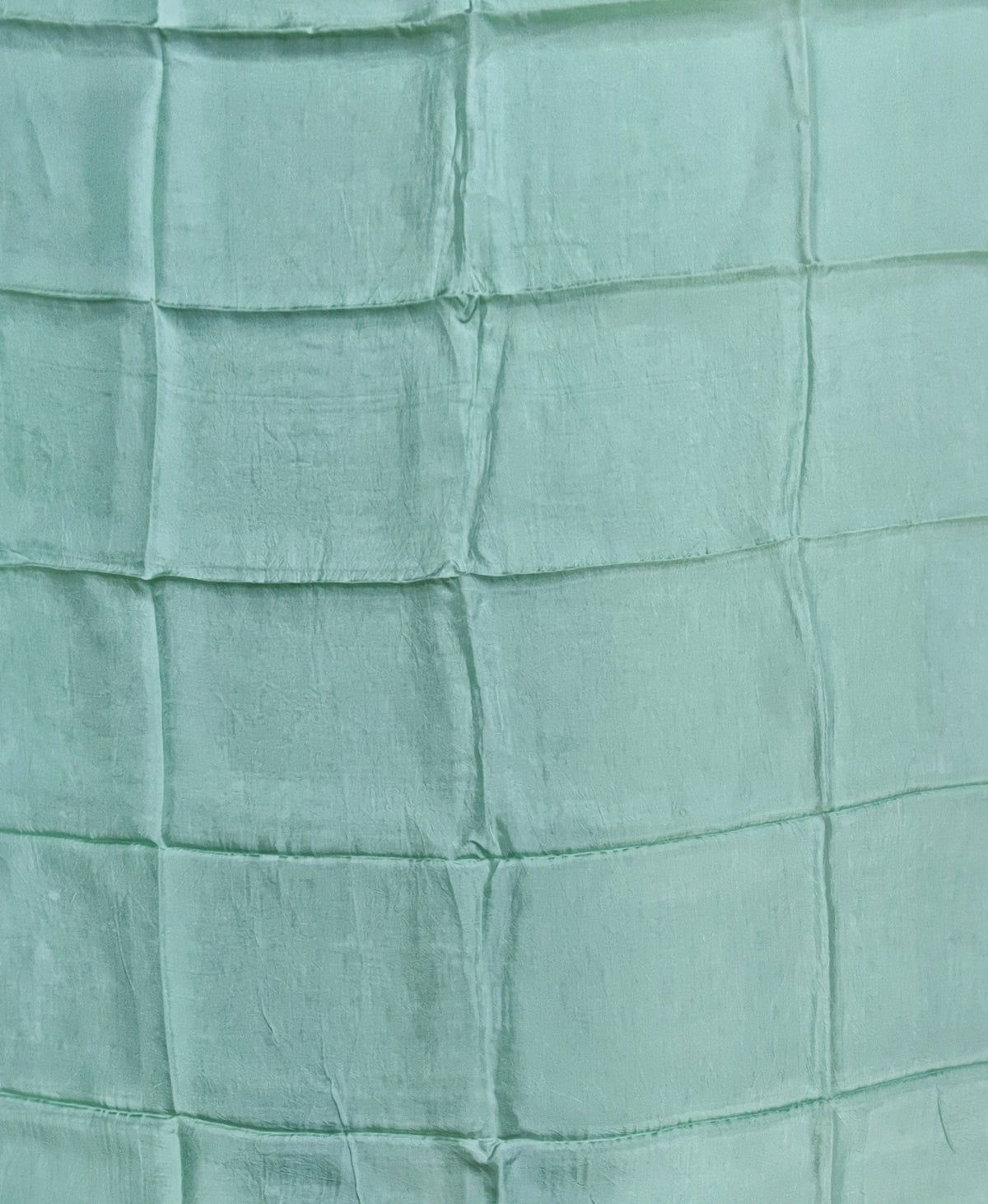 Light Green Tissue Suit with Resham Work