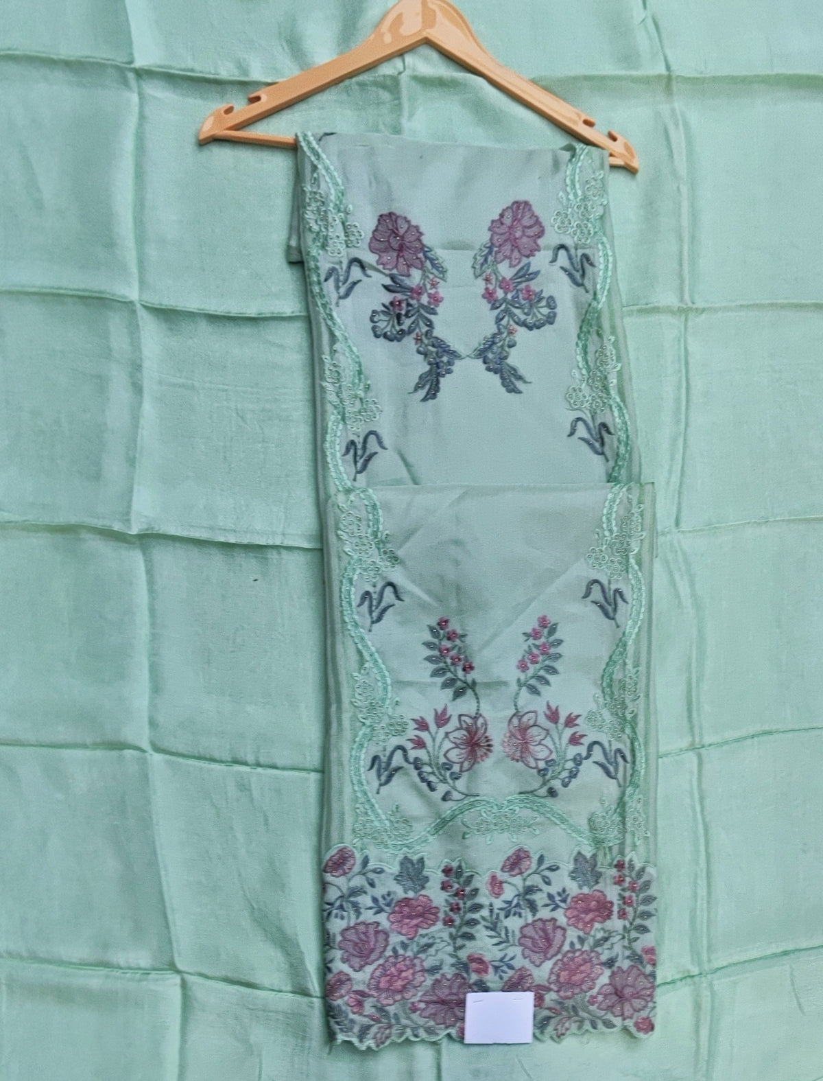 Light Green Tissue Suit with Resham Work