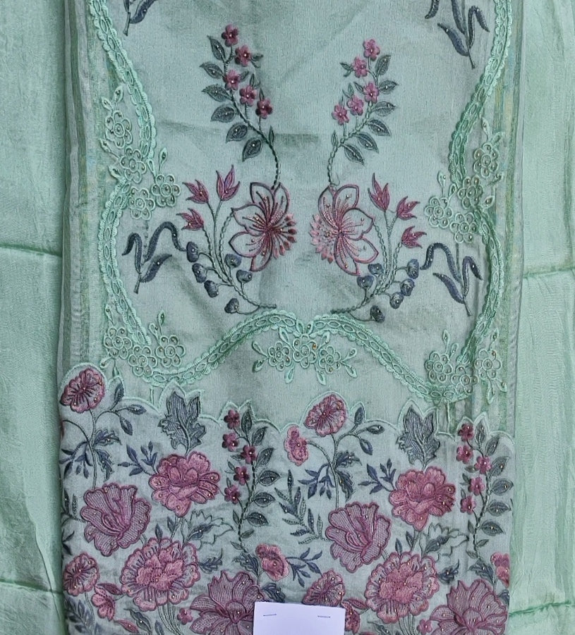 Light Green Tissue Suit with Resham Work